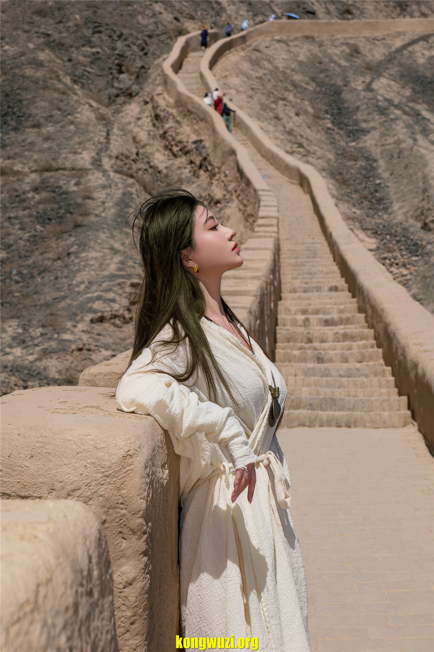 kongwuzi.org (2)