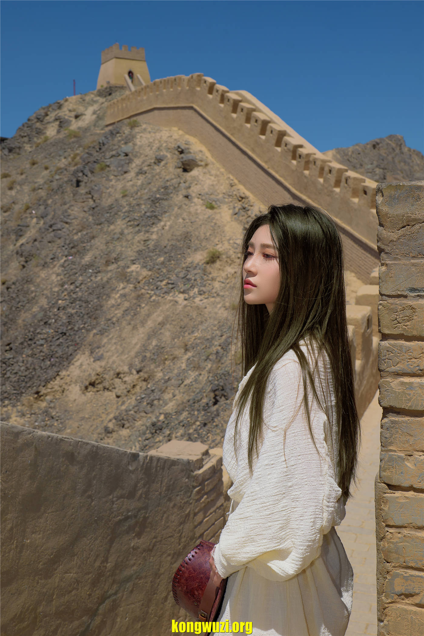 kongwuzi.org (26)
