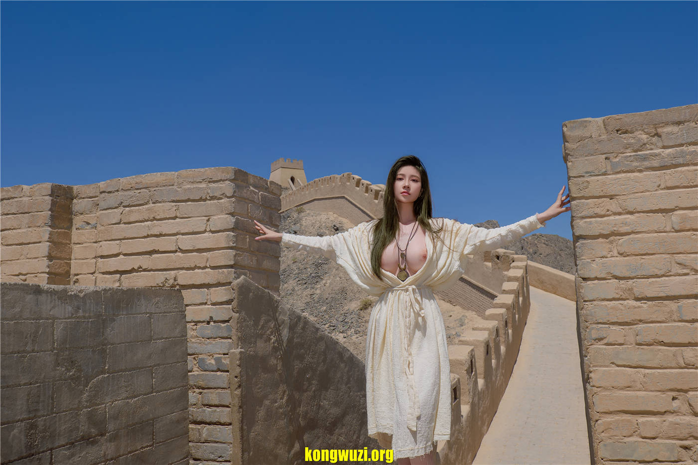 kongwuzi.org (31)